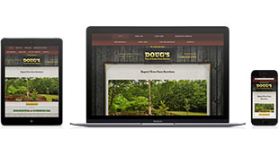responsive website design