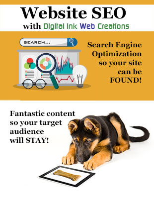 SEO Search Engine Optimization